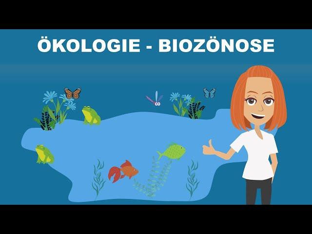 Biozönose - das Ökosystem einfach erklärt | Studyflix