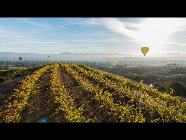 A Different View of California's Wine Country: Hot Air Balloon Ride