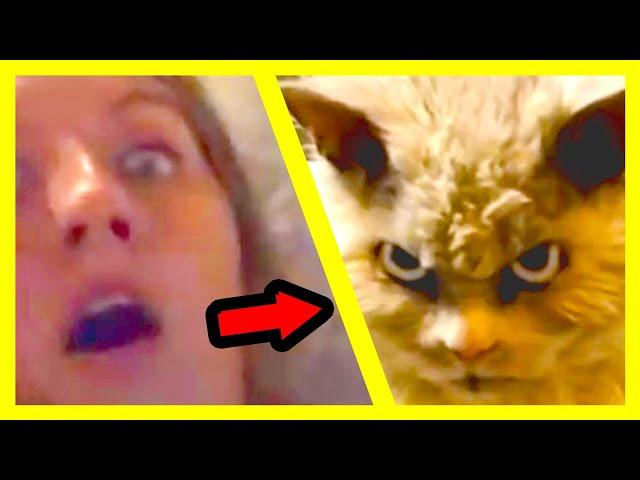 Best Oh No no moments of the week! | Top pet memes that will Make You Laugh Until You Cry [JLFA]