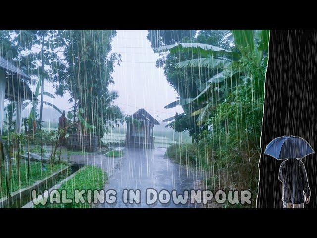 Relaxing Walk in Downpour in Village | ASMR Rain Sounds for Sleeping and Studying