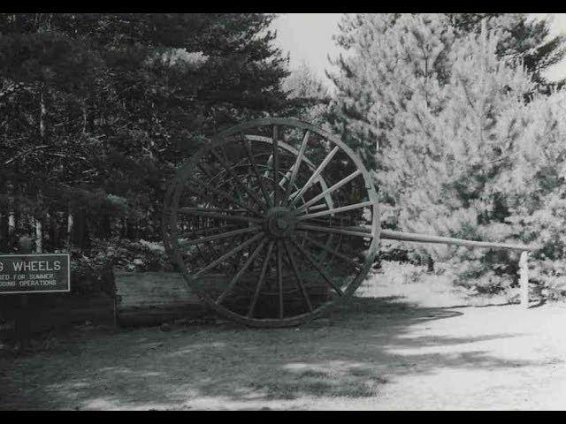 White Pine History: Logging in Michigan