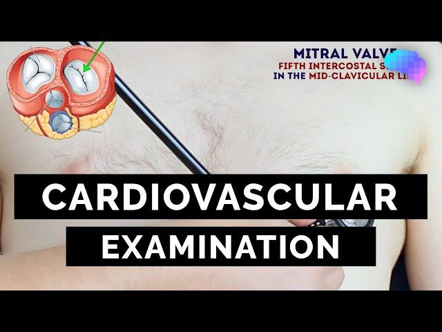 Cardiovascular Examination | OSCE Guide | UKMLA | CPSA | PLAB 2