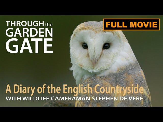 Homebound Adventures: A Wildlife Photographer's Year in the British Countryside #naturedocumentary