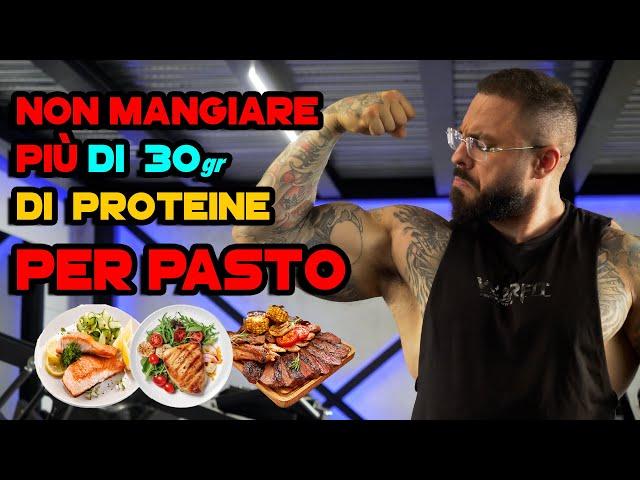 QUANTE PROTEINE ASSIMILI PER PASTO?