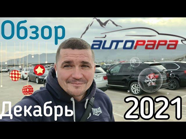 Обзор цен на авто в Грузии, декабрь 2021. Обзор купленных авто. Автопапа.  McCar