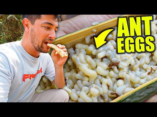 Uncovering Thailand’s EXOTIC FOOD of the Karen Tribe  I Can’t Believe They Eat This!!