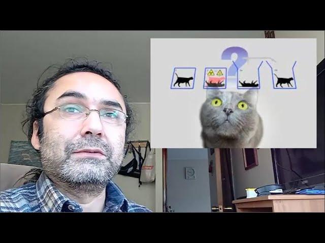 La Paradoja del Gato de Schrödinger ¡RESUELTA!