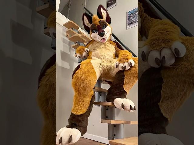 My Fursuit Maker CALLED ME OUT  | #furry #fursuit #fursuitmaker