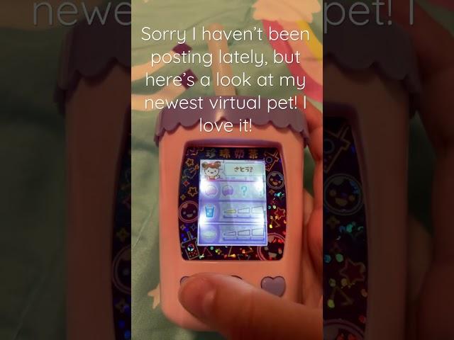 Here’s a quick look at my newest virtual pet, the punitapi chan!