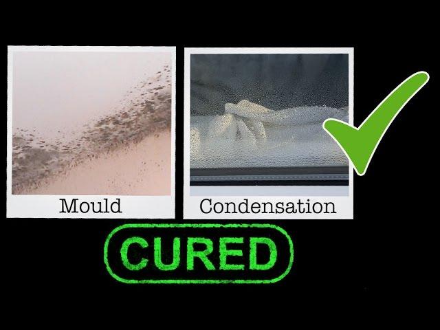 Cure Condensation and Stop Mould - Free