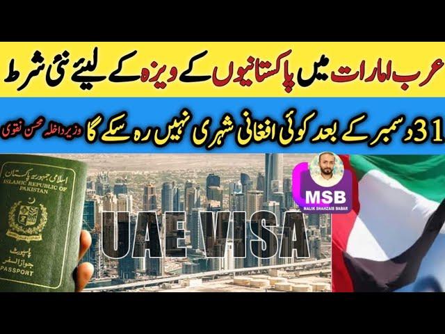 Why Are Pakistanis Facing Visa Restrictions in UAE |UAE VISA Update For Pakistan | UAE Visa Policies