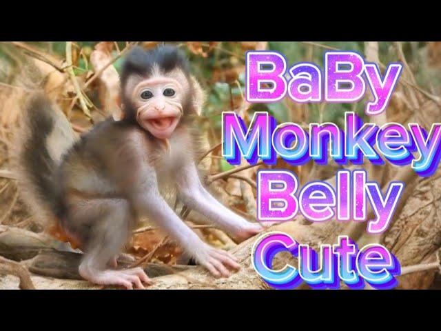 monkey baby cute cute ###viral video shirt funny video