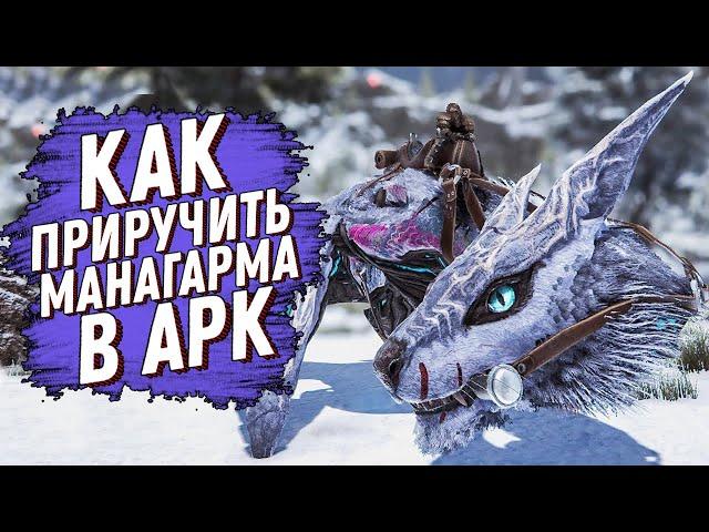 КАК ПРИРУЧИТЬ МАНАГАРМА В АРК (ARK: Survival Evolved)