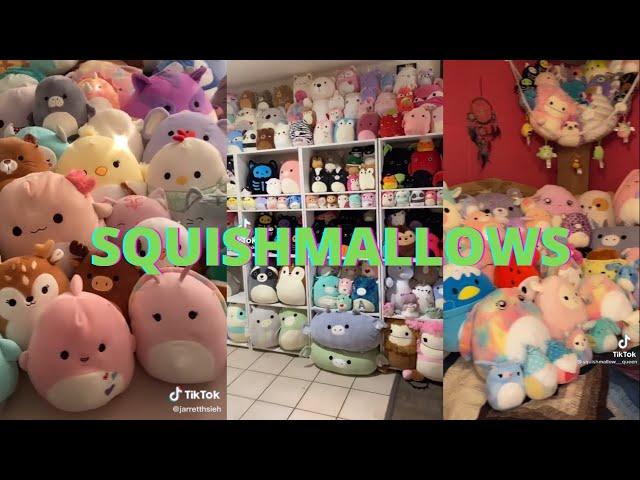 SQUISHMALLOW COLLECTIONS TIKTOK COMPILATION | HUGE SQUISHMALLOWS COLLECTIONS!!!