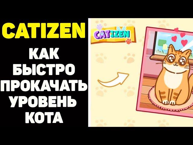 Как получить airdrop от catizen и как очень быстро прокачать кота? #catizen