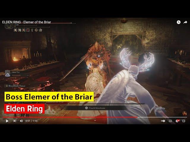 Elden Ring | huongdangame | Boss Elemer of the Briar