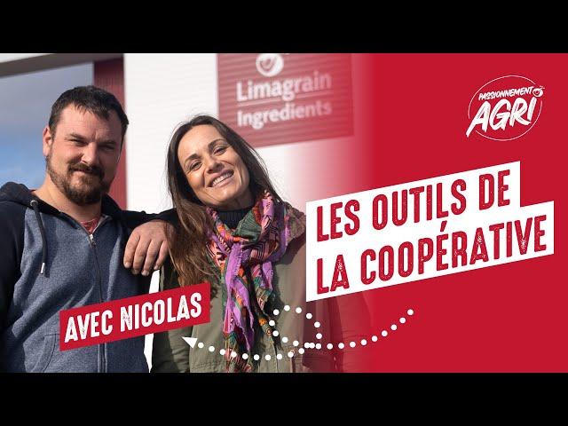 Une journée dans un VRAI moulin de coopérative | Passionnément Agri | Limagrain