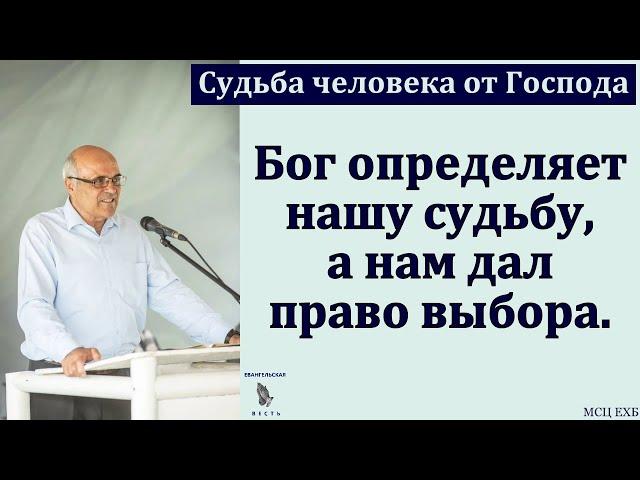 "Судьба человека от Господа". А. В. Гамм. МСЦ ЕХБ