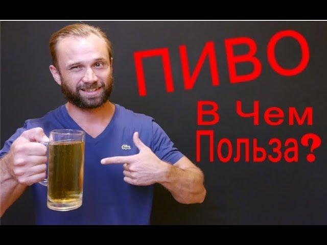 Как Пить ПИВО Без Вреда Для Здоровья / Пиво При Похудении