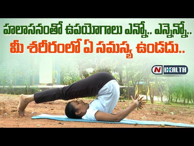 Plow Pose | Step by Step Process of Doing Halasana | Benefits of Halasana | N Health