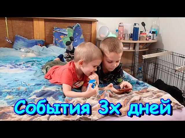 Три дня в одном видео. Болеем. Установка дверей. Животные. Таня уезжает. (12.24г.) Семья Бровченко.