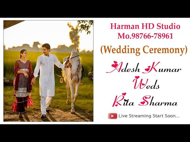 Adesh Kumar/ Rita Sharma Live Wedding Jaggo Ceremony 6-10-24   Harman HD Studio Mo.98766-78961