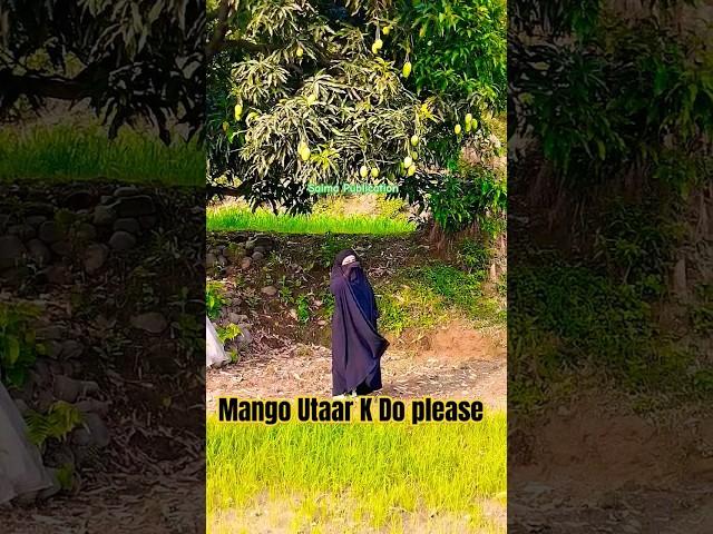 Mango Do Please #better #muslim #islam #learn #viral #shortsfeed  #nature #naat #hijab #trending