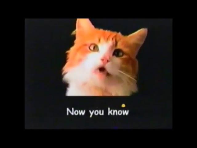 Meow Mix Commercial