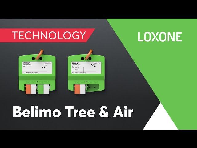 New: Belimo Tree & Air I 2022 I 4K