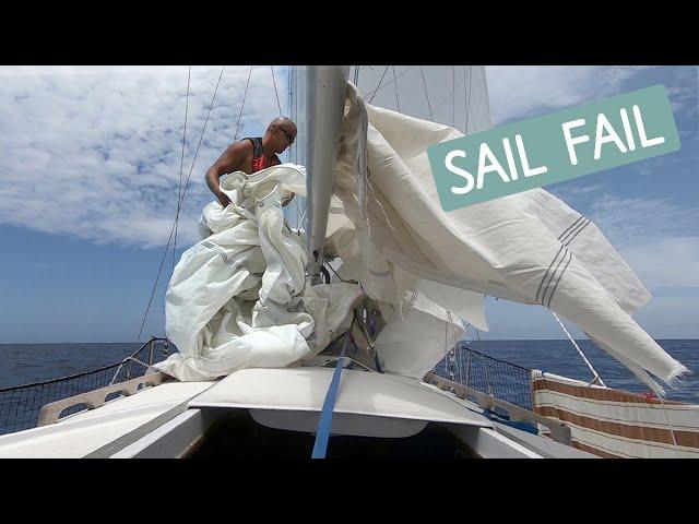 Shredded Sail and A Stalking Shark | 71 | Beau and Brandy Sailing