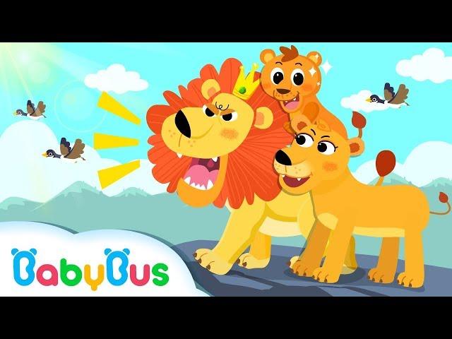 King of Forest: Big Lion | Baby Panda Goes to Forest | Kids Songs collection | BabyBus