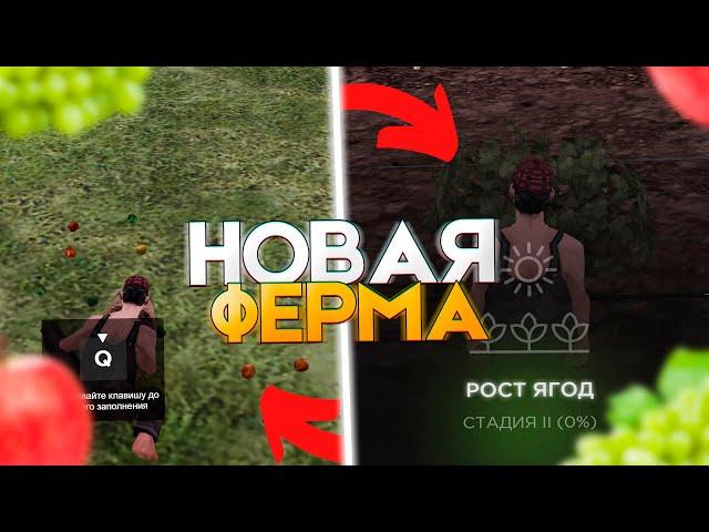 Новая ФЕРМА! Сильный Фикс Заработка на AMAZING ONLINE!