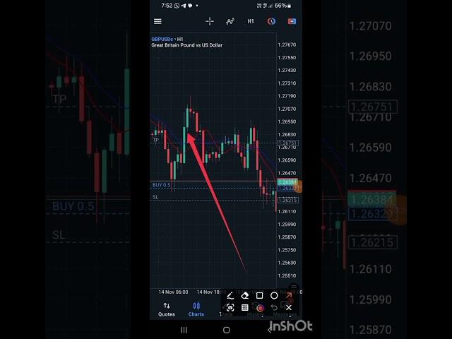 Why trading with CENT account could be the game changer for Newbies. ICT#SMC Trader