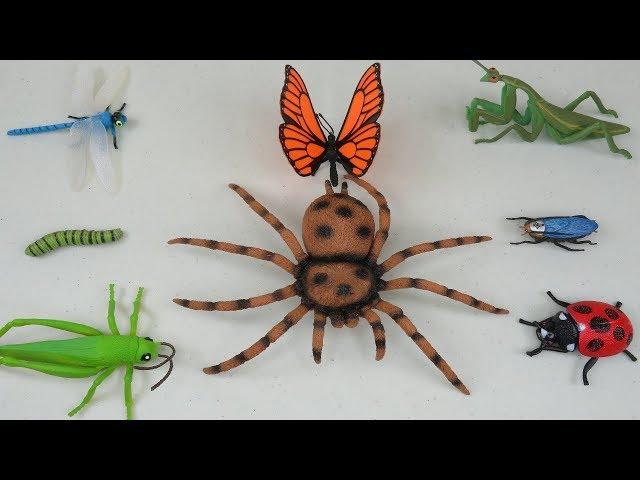 Wow! Look at these Insect and Bug Toys  