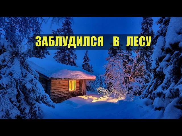 ИСТОРИИ из ЖИЗНИ в ТАЙГЕ ЗАБЛУДИЛСЯ в ЛЕСУ ВЫЖИТЬ СУДЬБА МЕДВЕДЬ ВЫЖИВАНИЕ ЖИЗНЬ в ДЕРЕВНЕ СЕРИАЛ