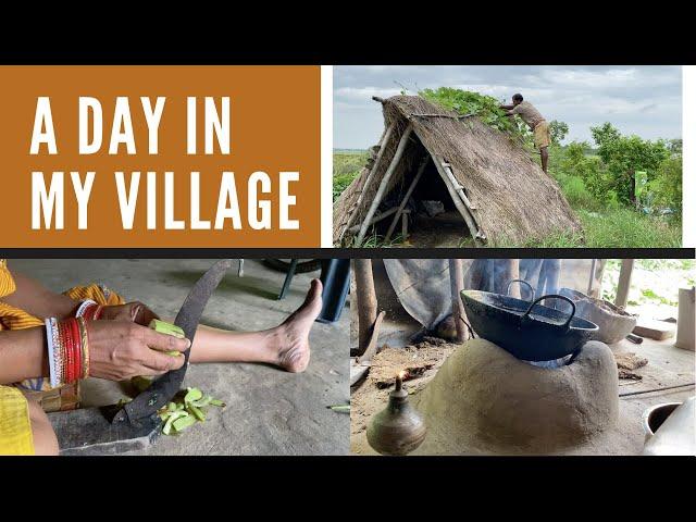 A Day in My Village | Rural Odisha life | ଆମ ଗାଁରେ ଗୋଟେ ଦିନ