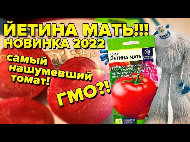 ЙЕТИНА МАТЬ! ТОМАТ ДЛЯ ОТКРЫТОГО ГРУНТА БЕЗ ФОРМИРОВКИ И ПАСЫНКОВАНИЯ! ВЫРАСТЕТ ВЕЗДЕ