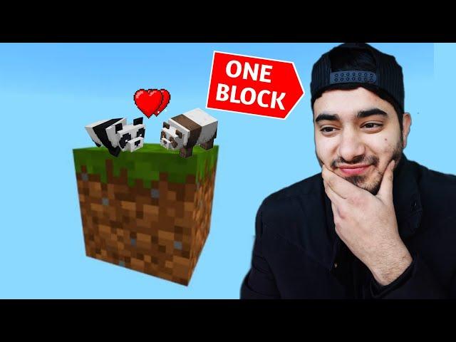 My Pandas are so happy after this.....(One Block Minecraft) #4