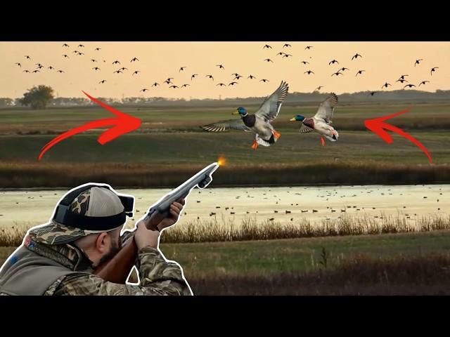 DUCK HUNTING! North Dakota EPIC Duck Trip - NODAK The Movie