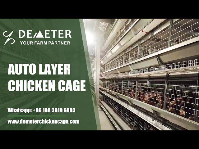 Innovative Modern Poultry Cages Automated Layer Battery Chicken Cage System for Lusaka Zambia