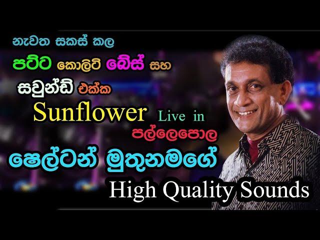 Shelton Muthunamage with Sunflowers | Pallepola | Re Created Superb Sounds