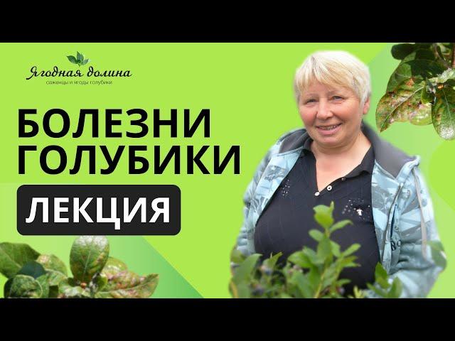 Болезни голубики. Лекция Татьяны Курлович на Международной выставке "Сады и ягоды" в г. Майкоп