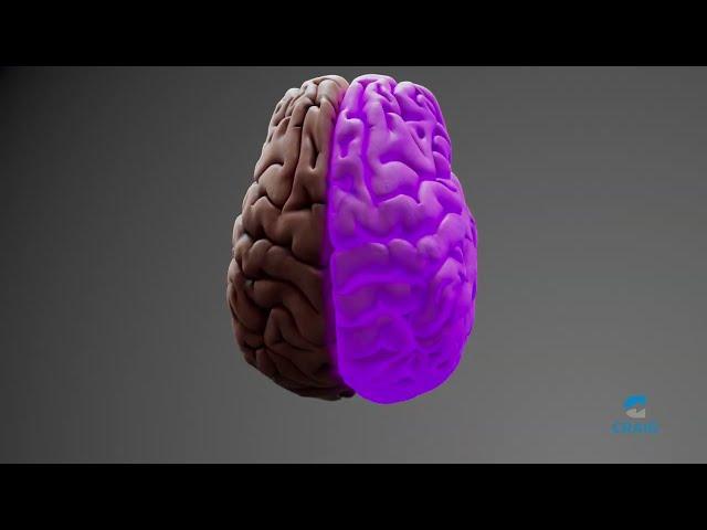 Educational Video: Introduction to Brain Injury