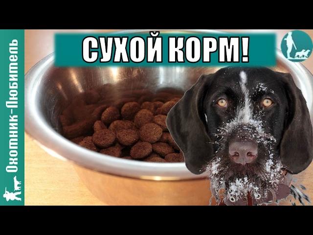 Можно ли кормить собаку сухим кормом? Охотник-Любитель