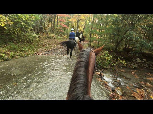 Cades Cove Horse Back Riding 2 Autumn 2020