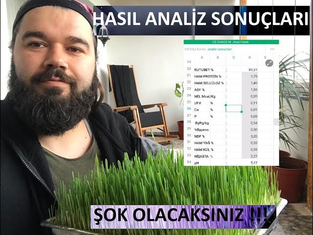 HASIL MUCİZE Mİ / FİYASKO MU ?  (Buğday Arpa Hasıl Laboratuvar Analiz Sonuçları)