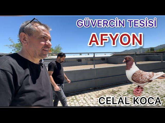 AFYON DA CENNET GİBİ MEKAN ( GÜVERCİN TESİSİ )