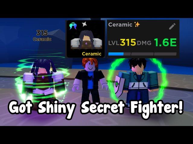 Noob Got Best Shiny Secret Fighter In Anime Fighters Simulator!