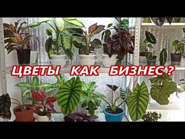 ЦВЕТЫ как БИЗНЕС  ИТОГИ ЧЕТЫРЕХ ЛЕТ  Стоит ли начинать⁉️