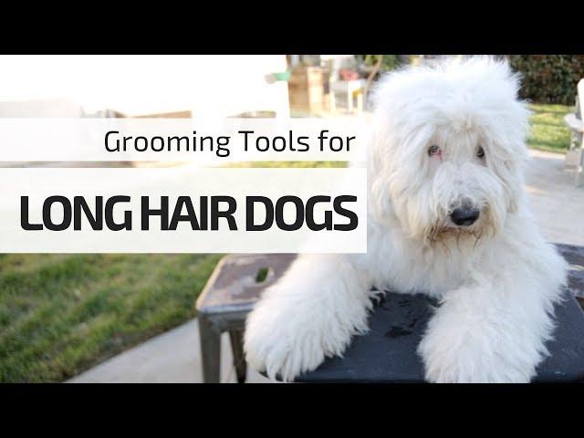 Stainless Steel Comb┃Tools You NEED for Grooming Your Long Hair Dogs┃Ed&Mel